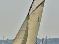  TJP6648  1