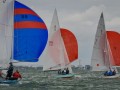  TJP2010