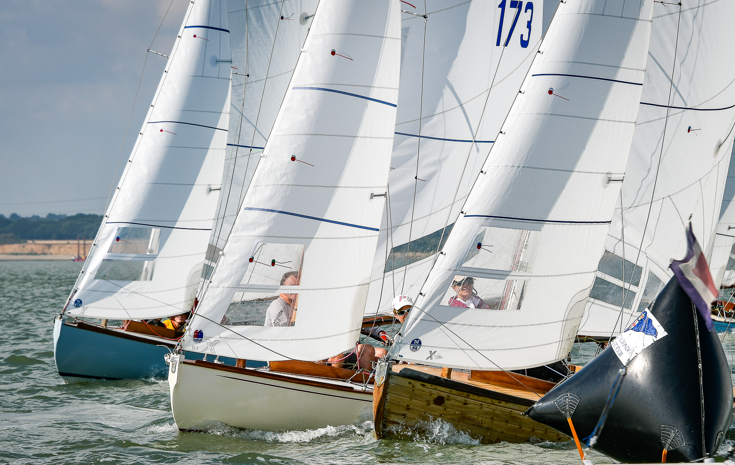 Swallows competing at the 2019 regatta