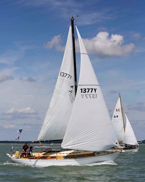 SeaUrchin 20140721cowesclassics333